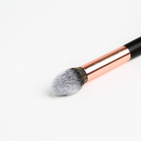 RG210  Pointed Tapered Brush